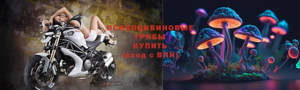 spice Баксан