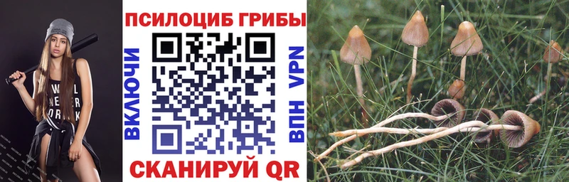 Псилоцибиновые грибы мухоморы  Купить где  Абинск 